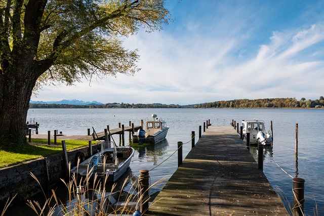 DO：纽卡的报价是过去24小时内提出的，谢什科还没做任何决定